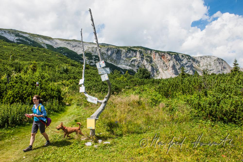hiker with her dog near the direction sign of the 