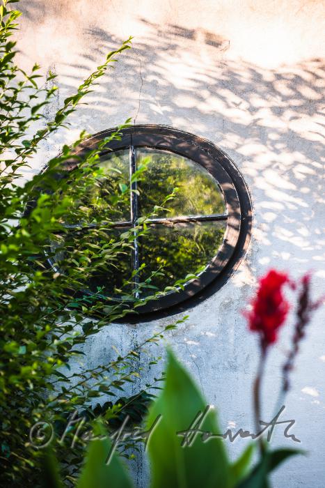 egg-shaped window and plants in the garden
