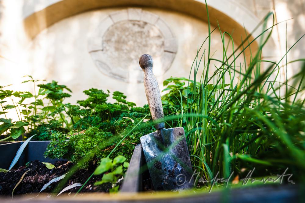 kitchen garden and shovel in front of the castle