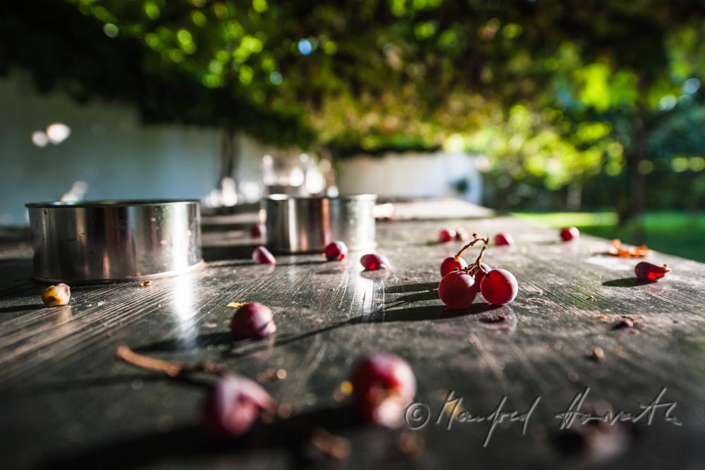 fallen off grapes on a garden table under a pergola