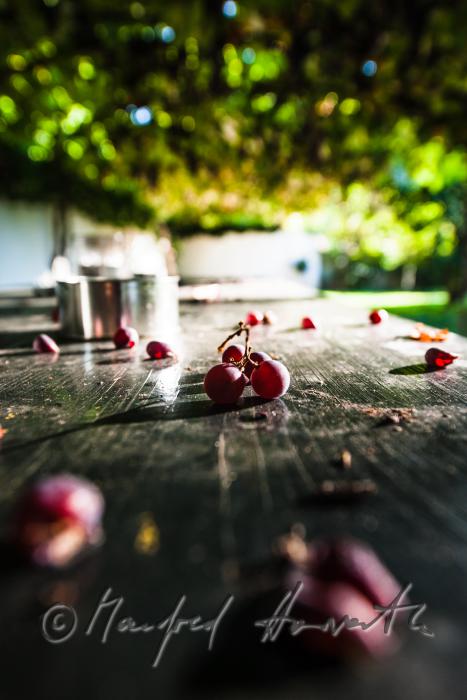 fallen off grapes on a garden table under a pergola