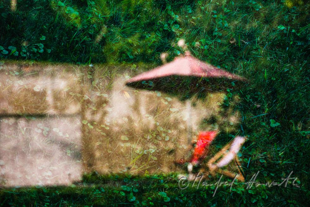 view through the semipermeable mirror (artpiece) to the garden