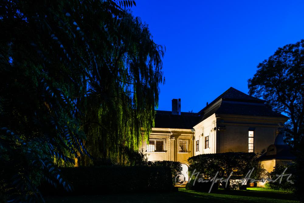 garden wit old trees and the southern fassade