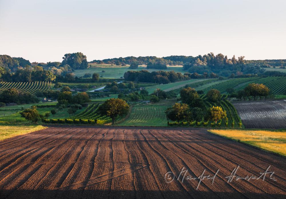 view fron the village to the Leithagebirge