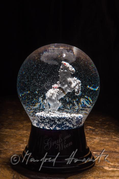 miniature Lippizane horse in a snow globe