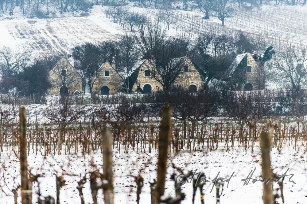 wine cellars near Bärenhöhle