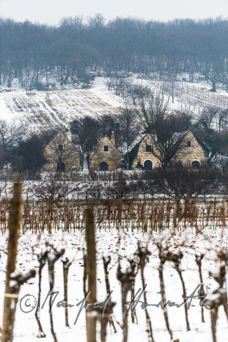 wine cellars near Bärenhöhle