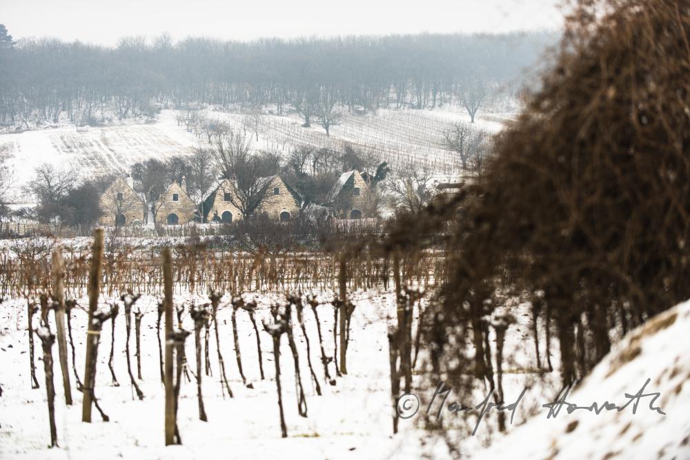 wine cellars near Bärenhöhle