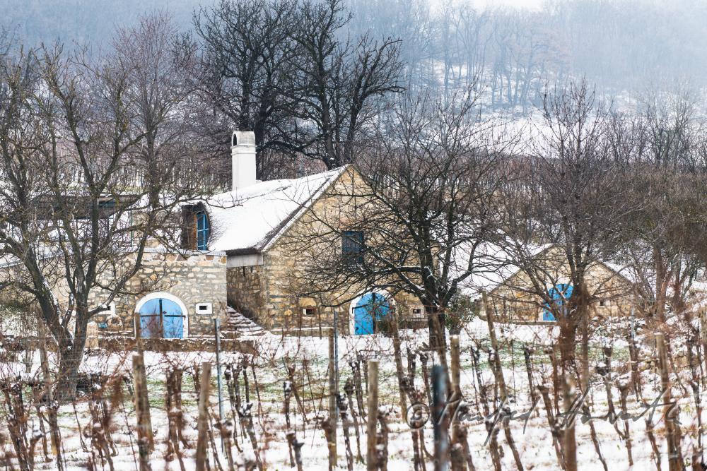 wine cellars near Bärenhöhle