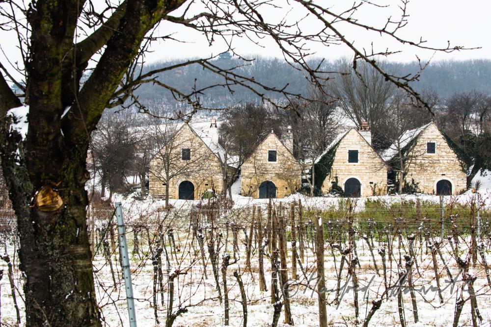 wine cellars near Bärenhöhle