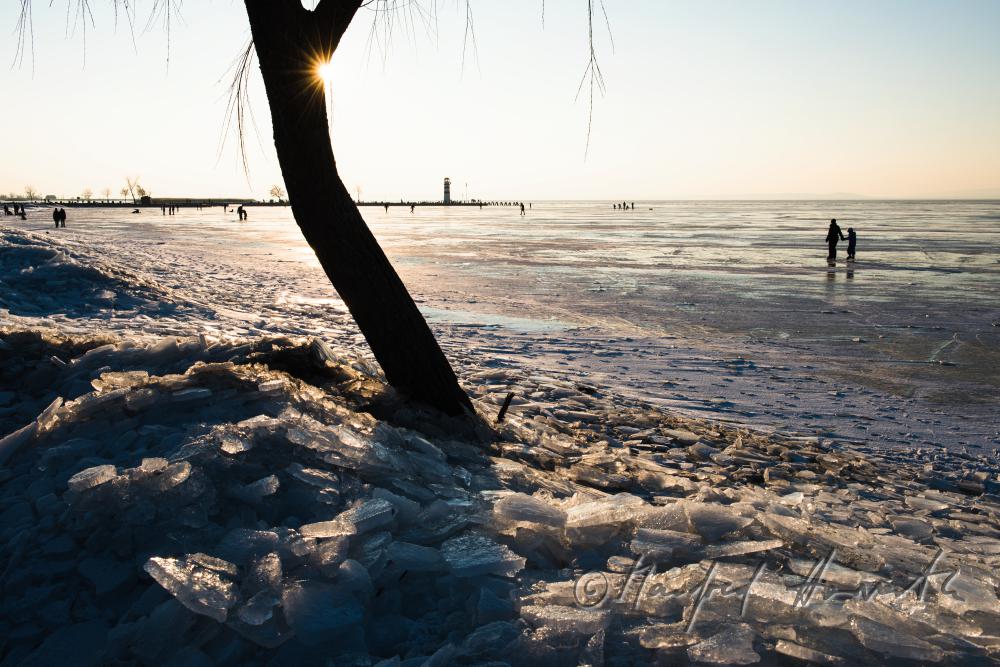 reed and ice on the beach of Podersdorf
