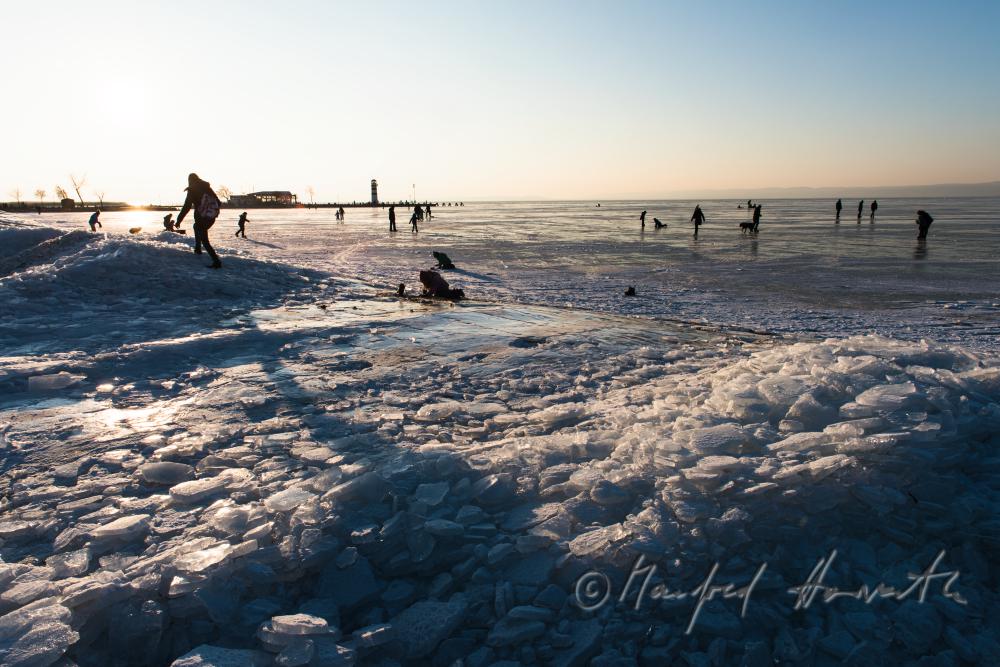 reed and ice on the beach of Podersdorf