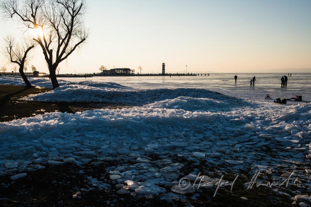 reed and ice on the beach of Podersdorf