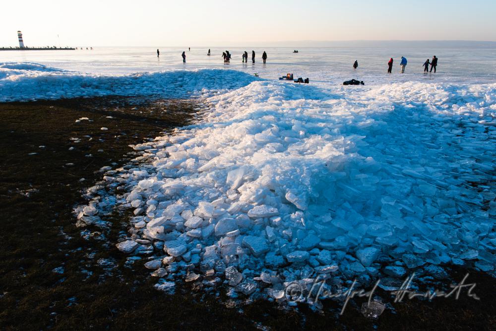 reed and ice on the beach of Podersdorf