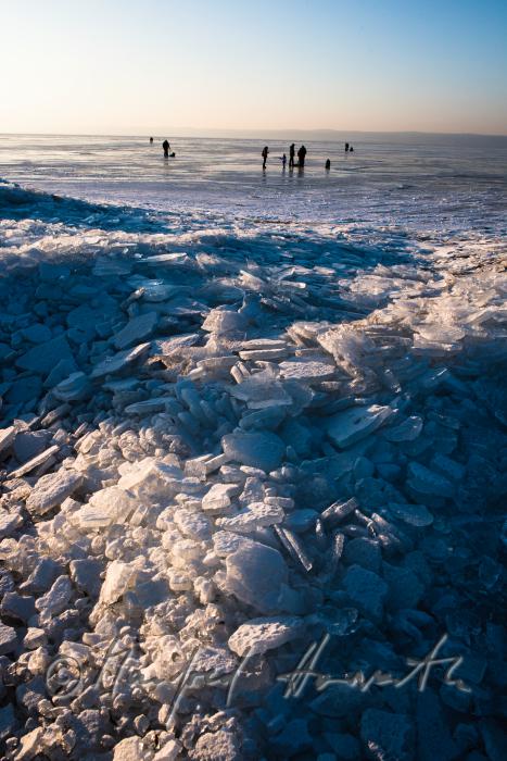reed and ice on the beach of Podersdorf
