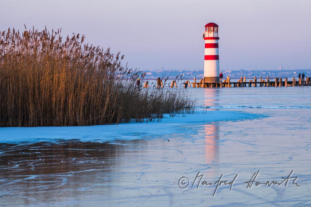 reed and ice on the beach of Podersdorf