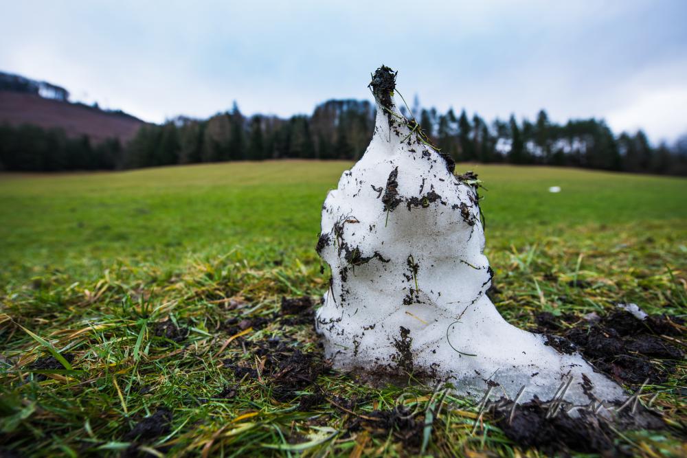 relics from the last snowfall in spring