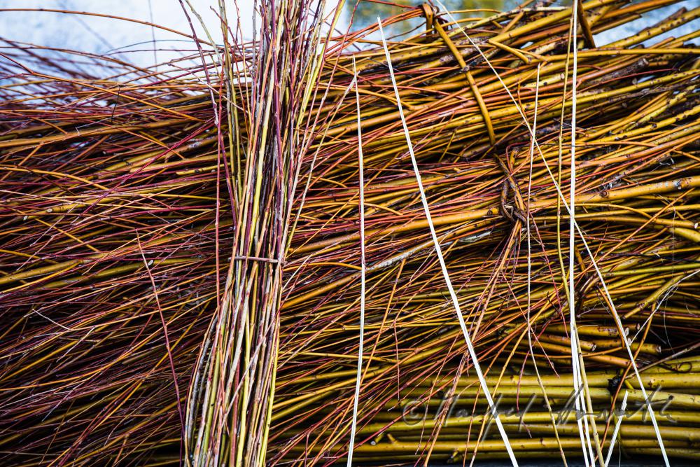 willow-brushwood in the workshop of the basket maker