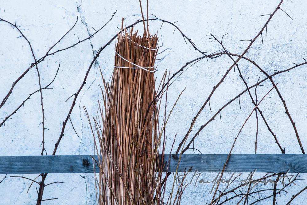 willow-brushwood in the workshop of the basket maker