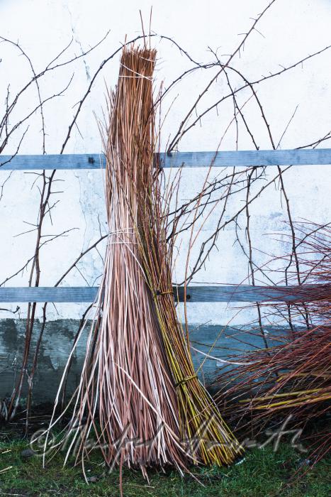 willow-brushwood in the workshop of the basket maker
