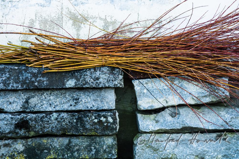 willow-brushwood in the workshop of the basket maker