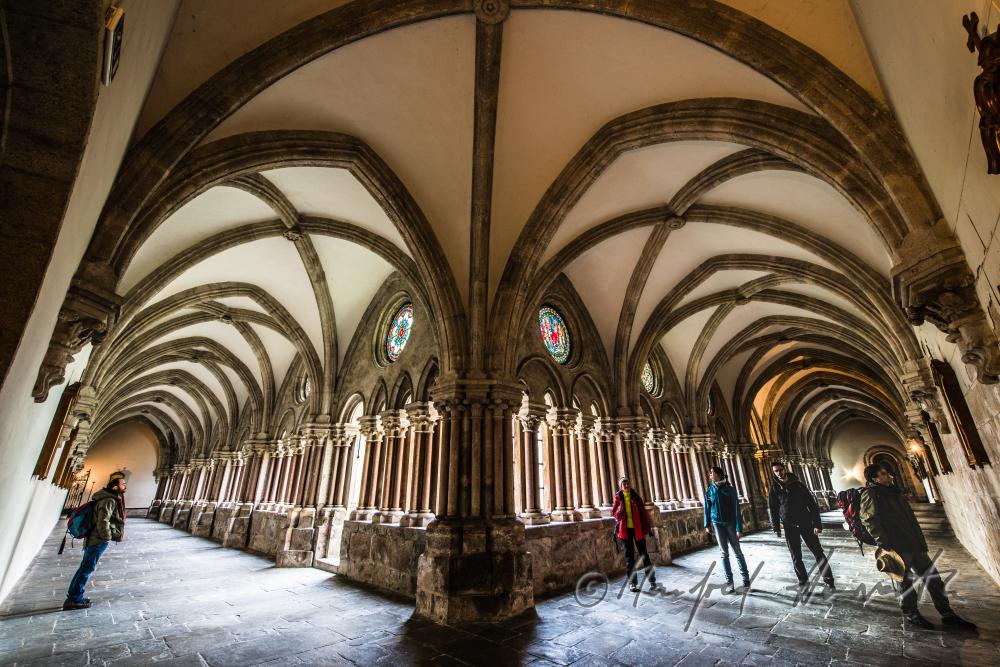 pilgrims in the cloister