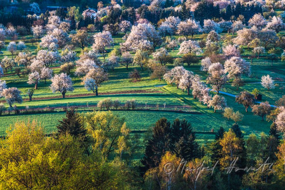 Rosaliengebirge in spring colours