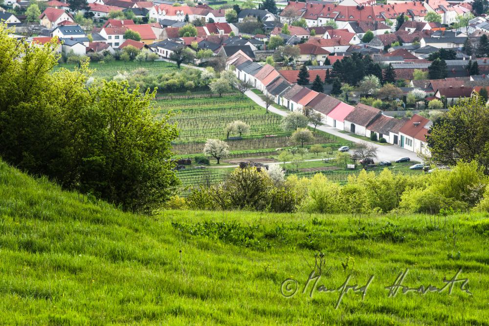 view from the Ährenfeld to the barns of the village