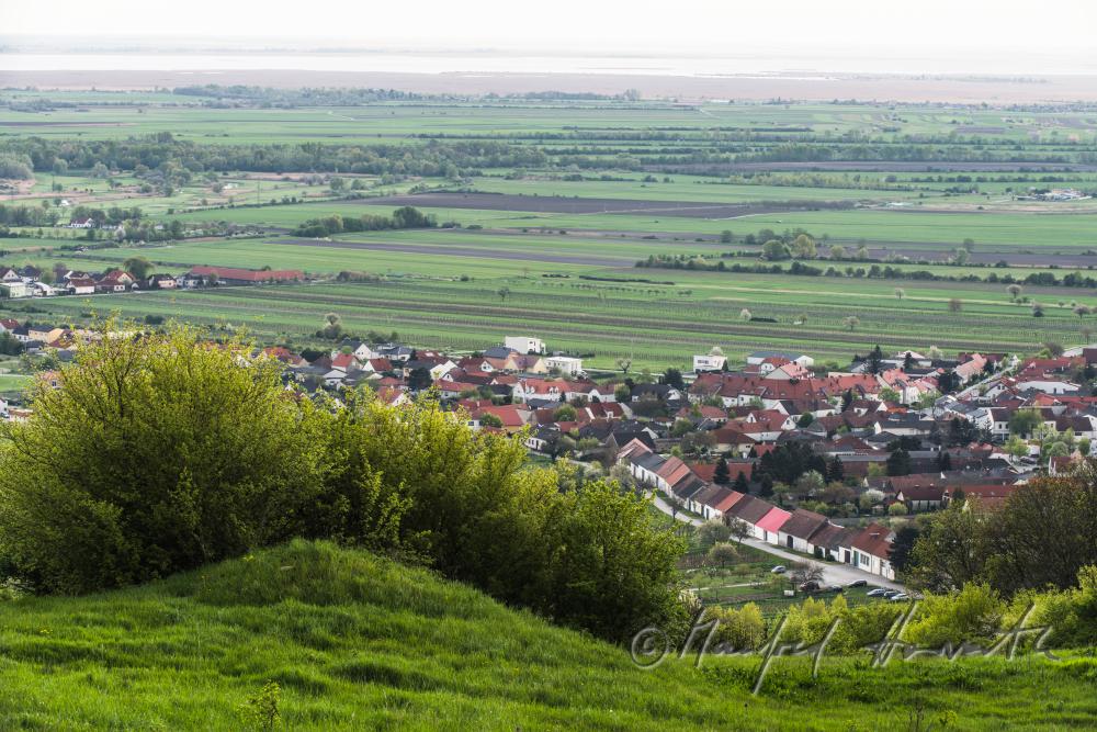 view from the Ährenfeld to the barns of the village