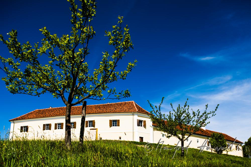 castle Tabor on top of a hill
