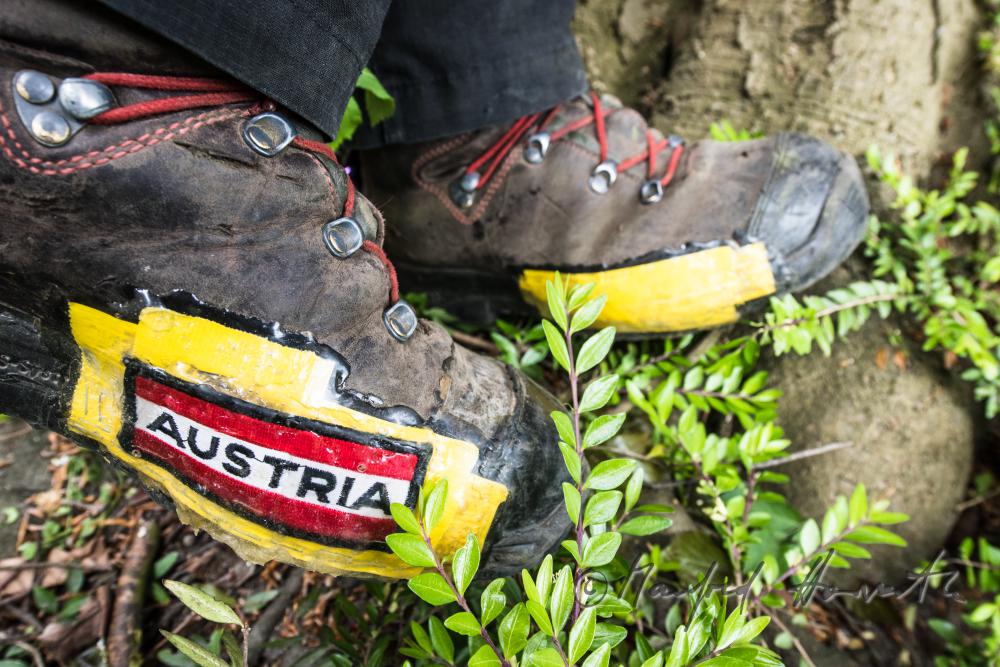 arborist with special shoes for climbing trees