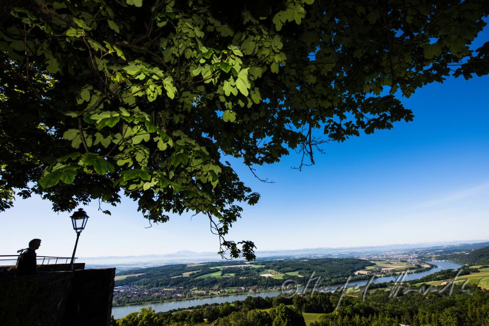 view from the pilgrimage church to the Alps
