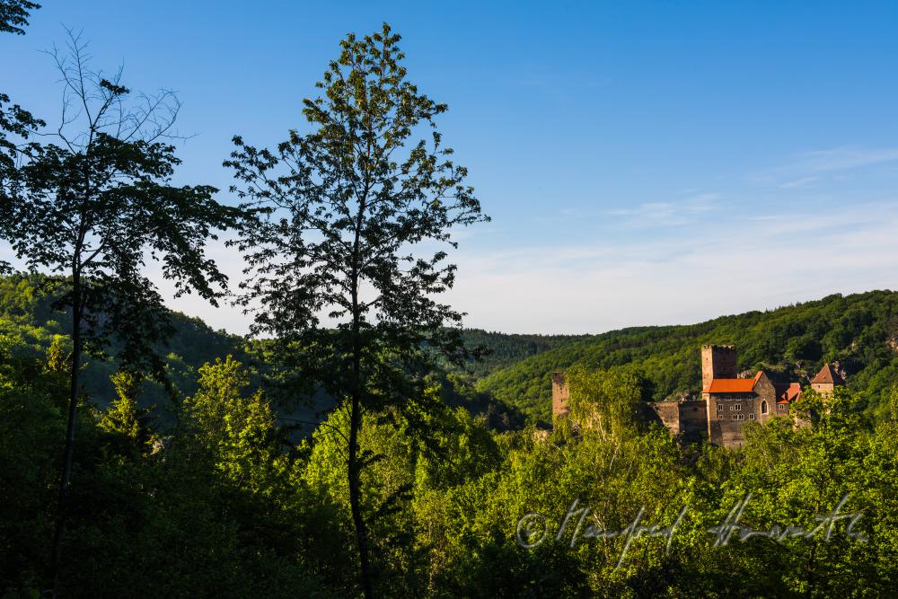 medieval Castle Hardegg in the valley of the river Thaya