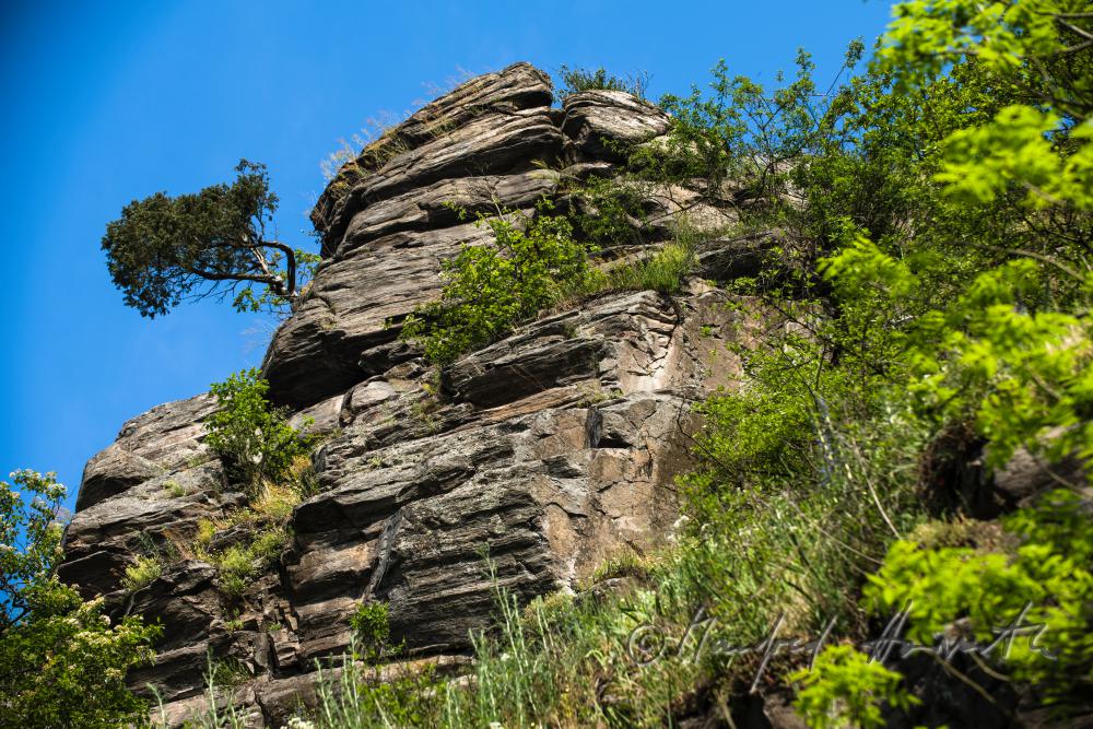 view from the River Thaya to the pinnacle of the Mountain 