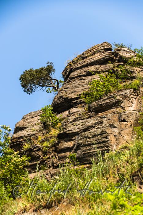 view from the River Thaya to the pinnacle of the Mountain 