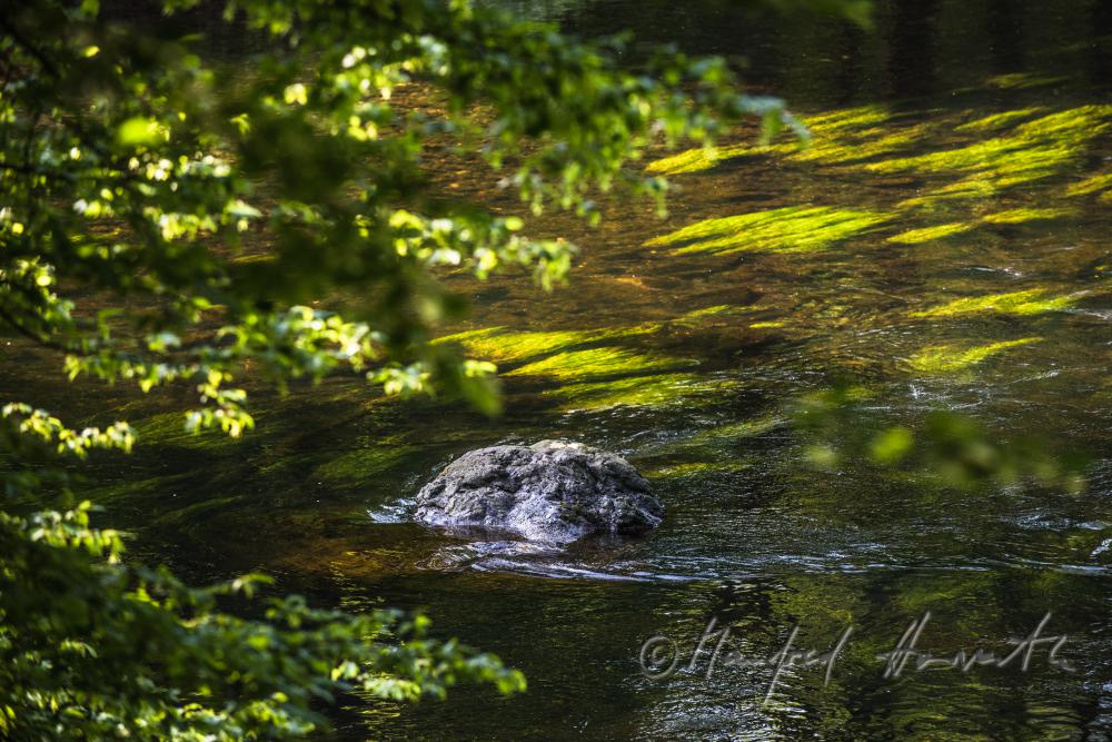 granite boulder in the riverbed of River Thaya
