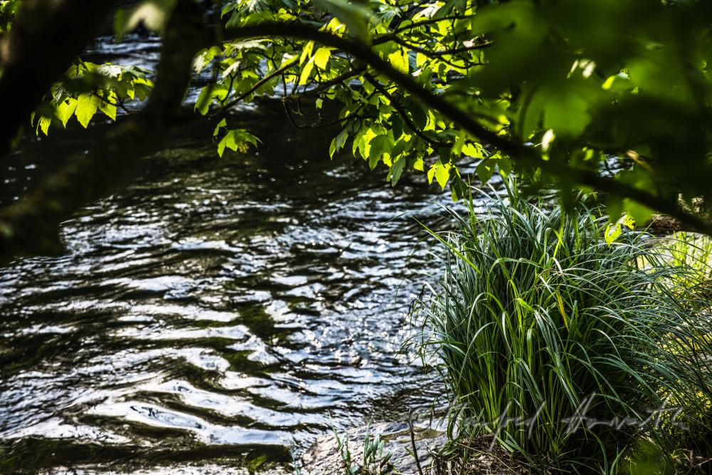 curly waters in the river bed of the River Thaya