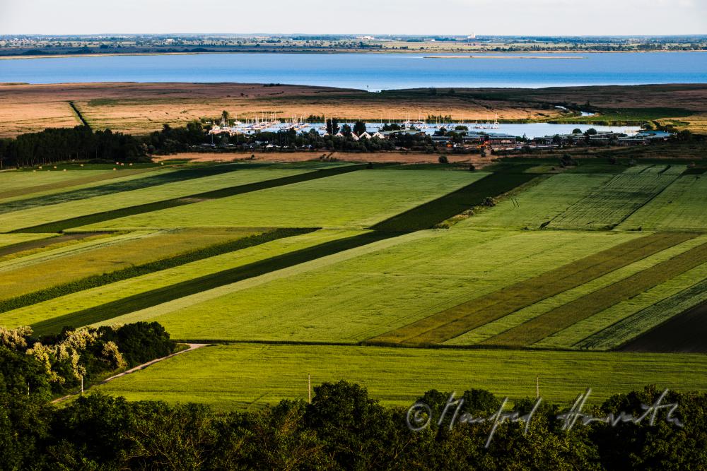 view fron the Hackelsberg to the Neusiedlersee