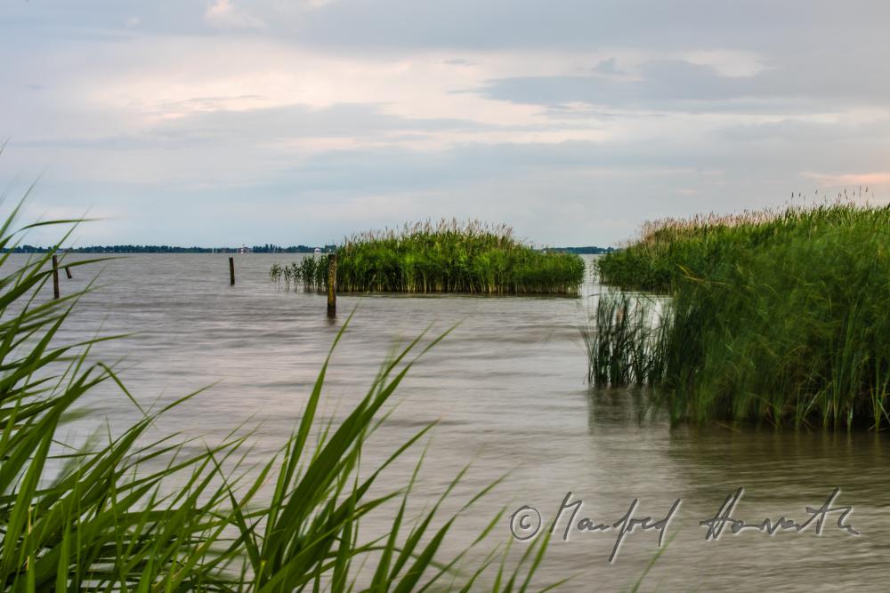 lakeshore in the reed belt