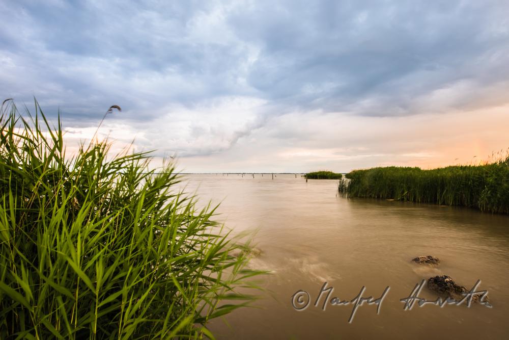 lakeshore in the reed belt