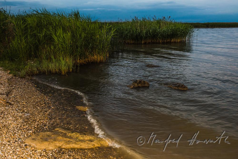 stone on the gravel beach and reeds