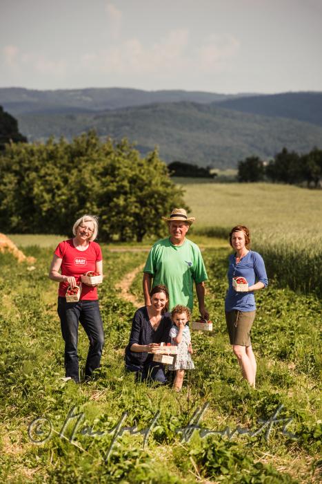 Preisegger family at the strawberry harvest of organic grown strawberries