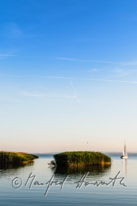 reed islet in the harbour