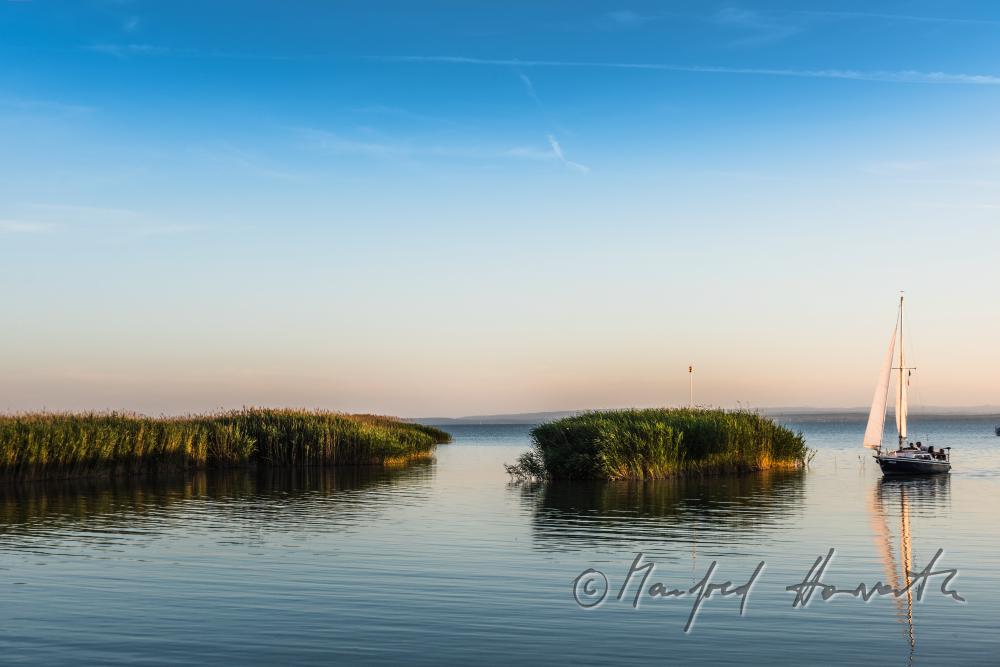 reed islet in the harbour