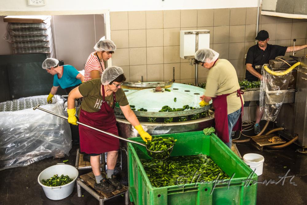 washing and filling of gherkins in glasses