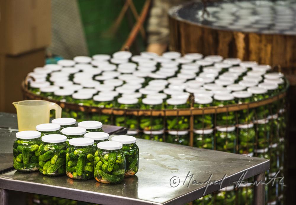 pasteurizing of cucumbers in a big wooden vat
