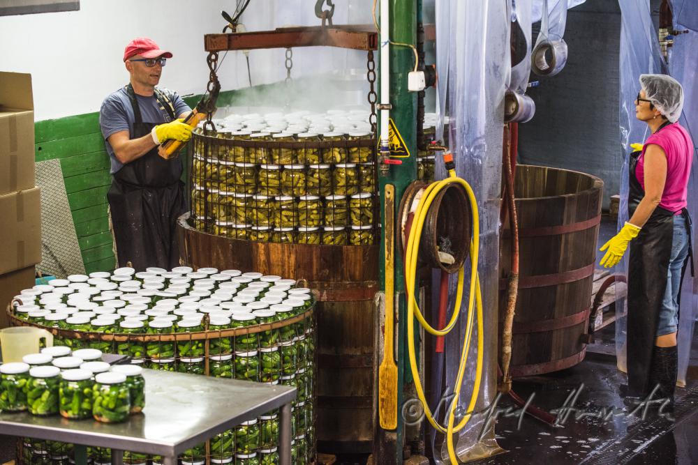 pasteurizing of cucumbers in a big wooden vat