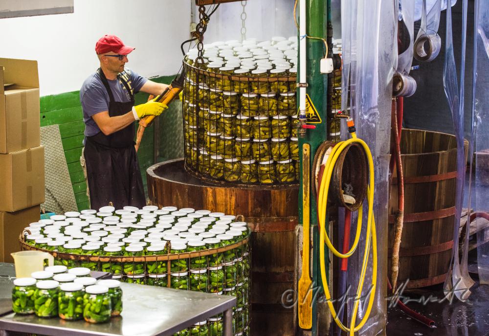pasteurizing of cucumbers in a big wooden vat
