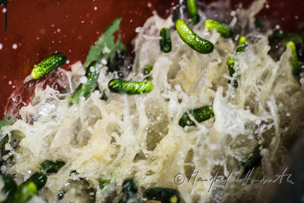 cleaning of cucumbers for the production of dill pickles
