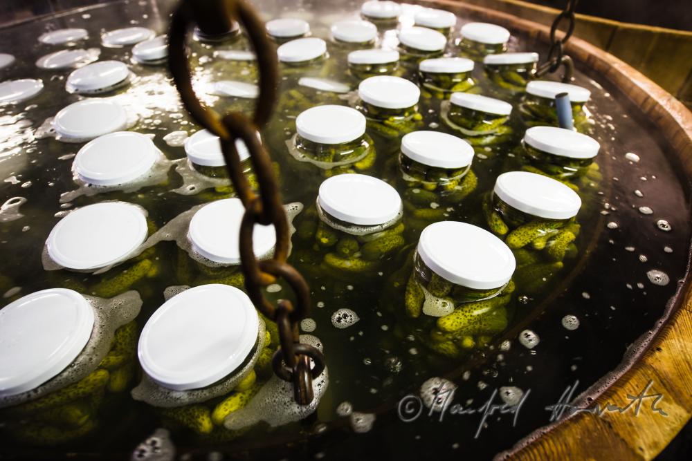pasteurizing of cucumbers in a big wooden vat